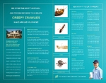 Pest Control Services Half Fold Brochure